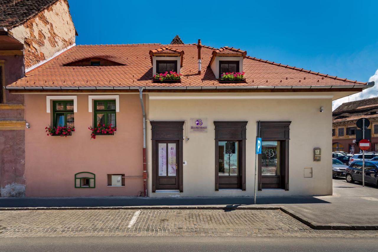 Blumenhaus Sibiu 아파트 호텔 외부 사진